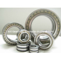 SL181884 Full Complement Roller Bearing